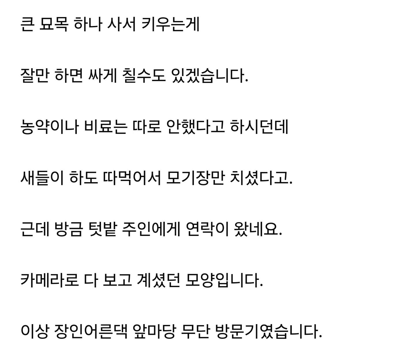 남의 땅에서 블루베리 5kg 따고 맛있다고 자랑한 놈ㄷㄷ