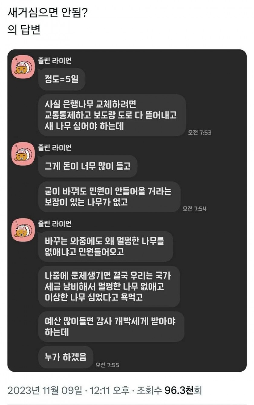 한국 왜이리 은행나무 많은거야