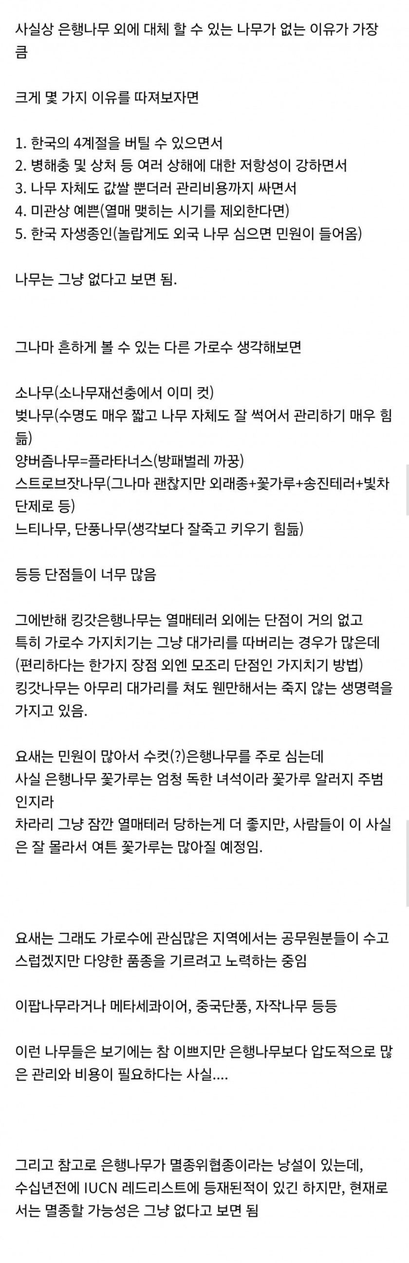 한국 왜이리 은행나무 많은거야