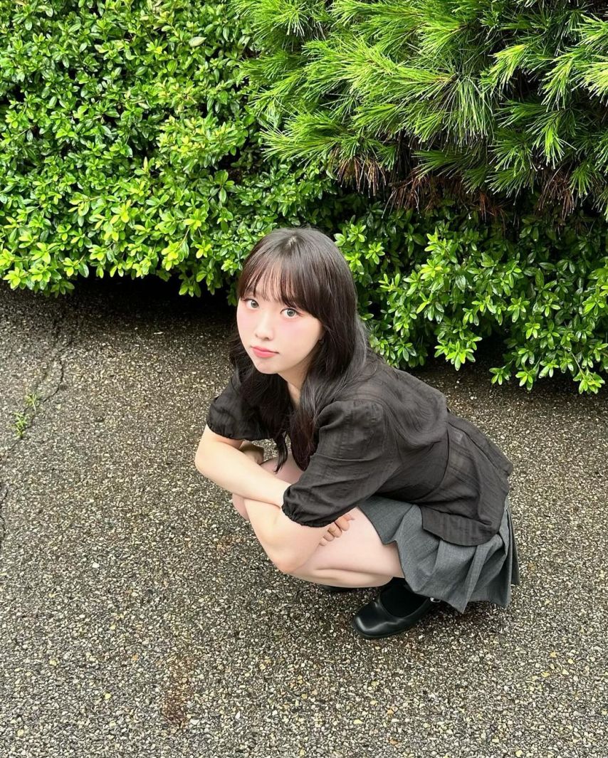 앨리스 채정