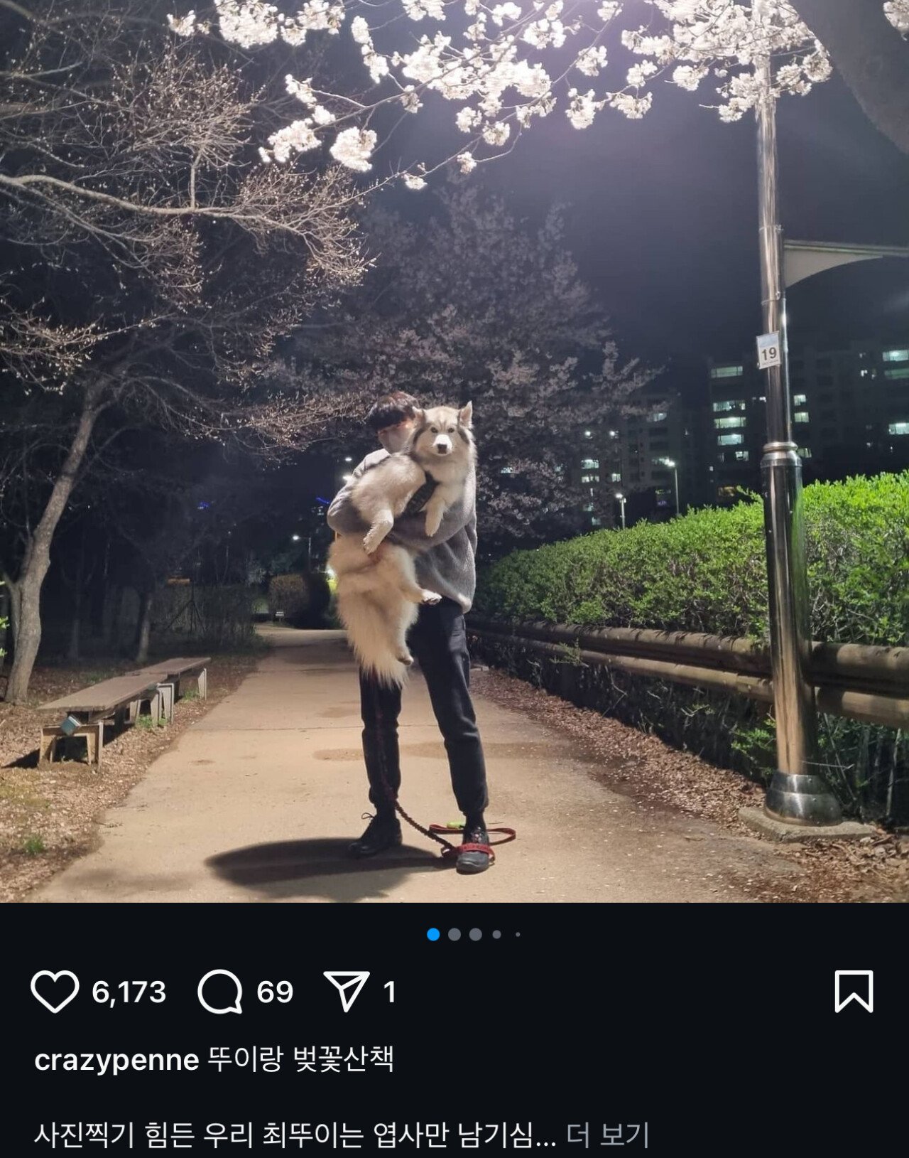 최현석 인스타에 자주 올라오는 강아지