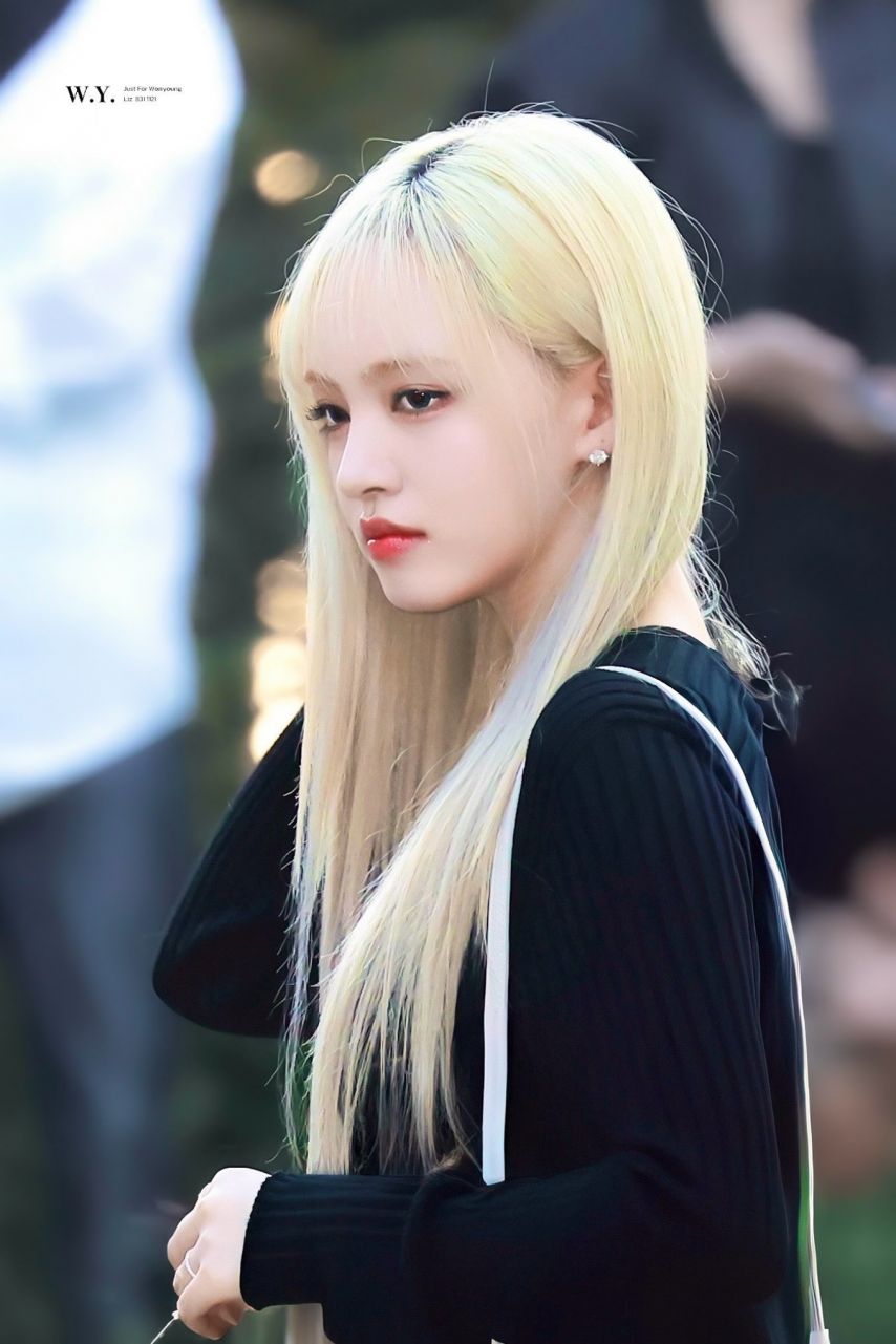 아이브 리즈