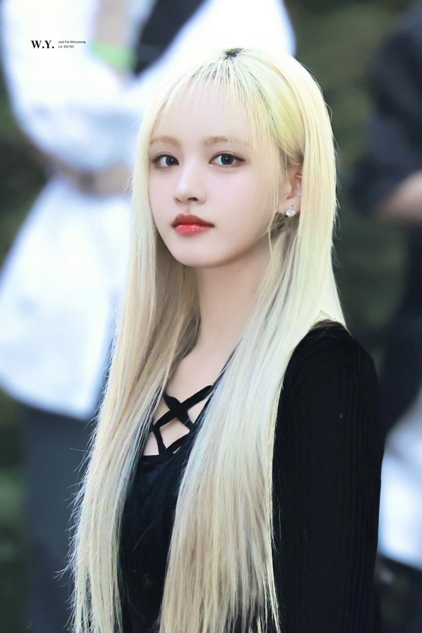 아이브 리즈