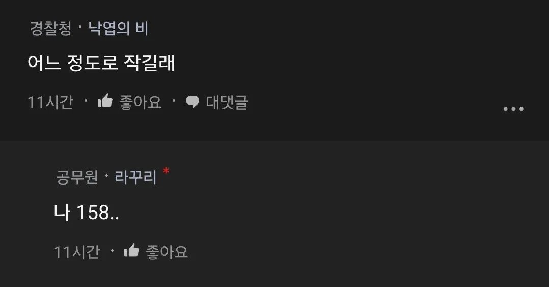 키작녀도 좋아해달라는 블라녀
