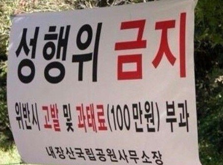등산 동호회의 불륜ㄷㄷㄷ