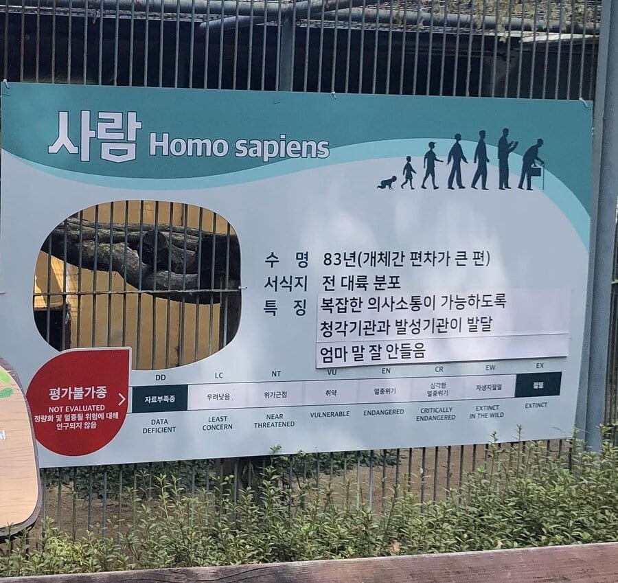 인간 동물원을 운영하는 사악한 국가