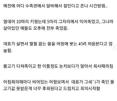 신입이 어항에 펄펄끓는 물 부음
