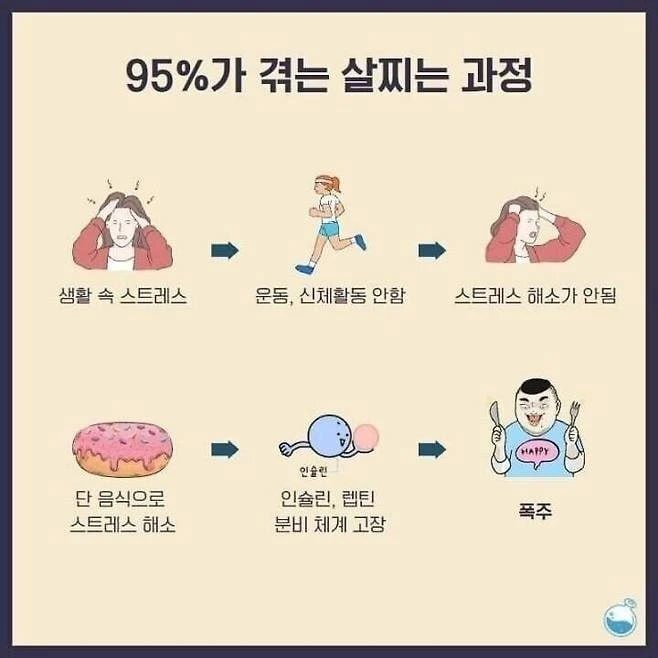 [펌] 95%가 겪는 살찌는 과정