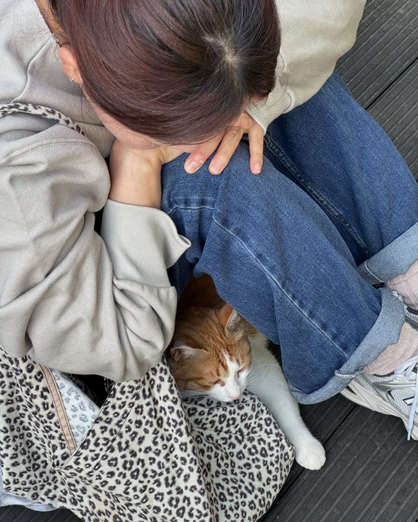 정소연 인스타