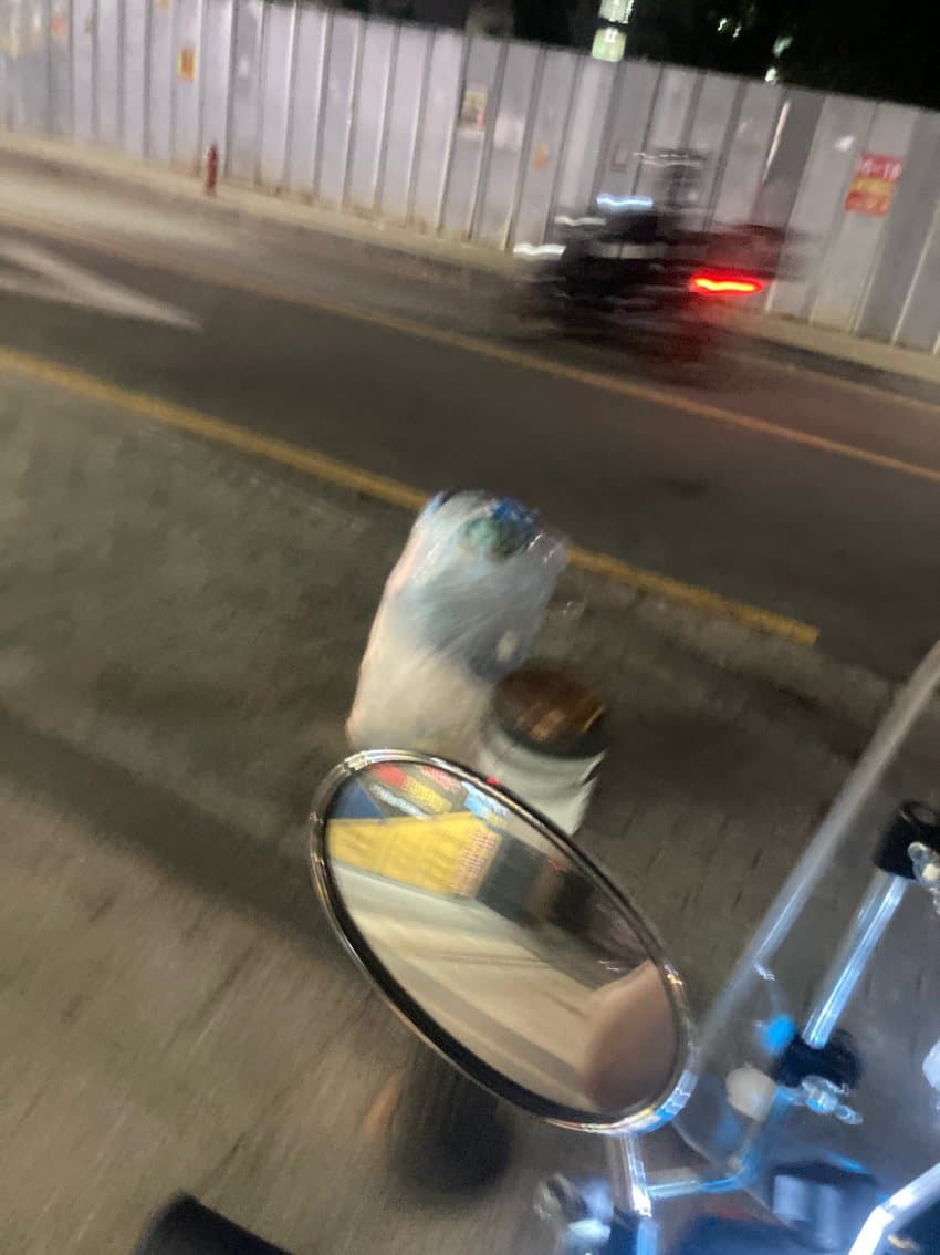 길에서 쭈구려 울고있는 대한항공 승무원 사진