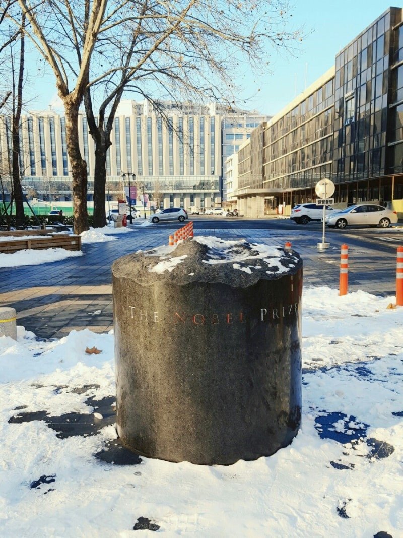 실시간 연세대 에타 근황....