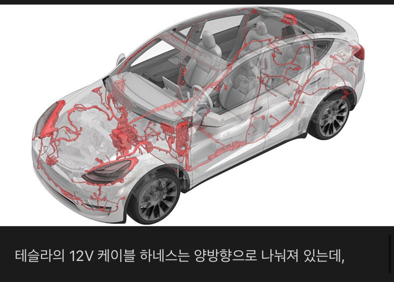 테슬라 카페에 올라온 이번 전소 사망 사고 정보