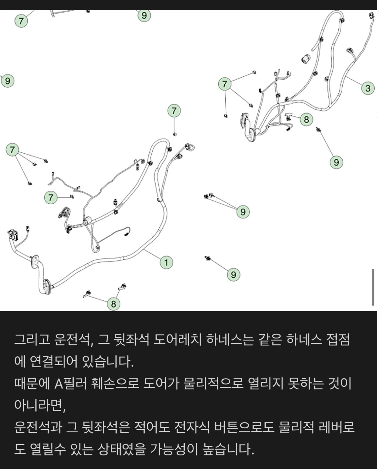 테슬라 카페에 올라온 이번 전소 사망 사고 정보
