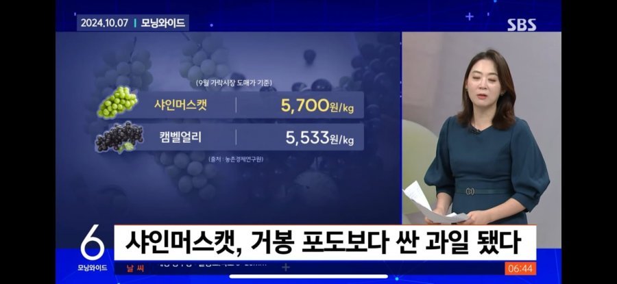 고급과일 샤인머스켓 근황