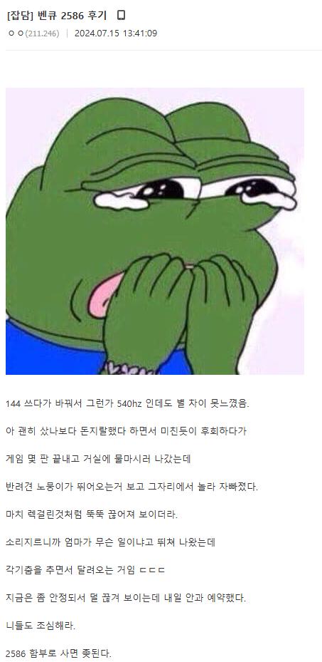 540Hz 모니터를 산 디시인 후기