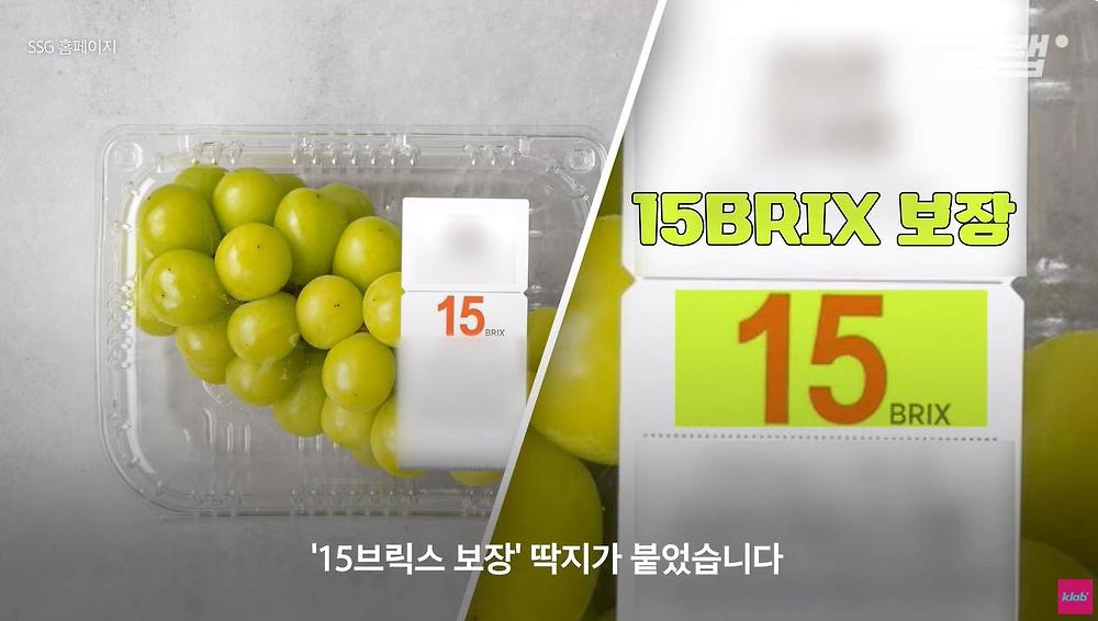 요즘 샤인머스캣 맛이 변한 진짜 이유