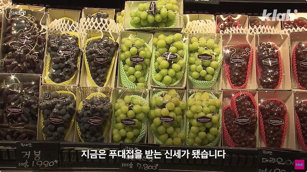 요즘 샤인머스캣 맛이 변한 진짜 이유