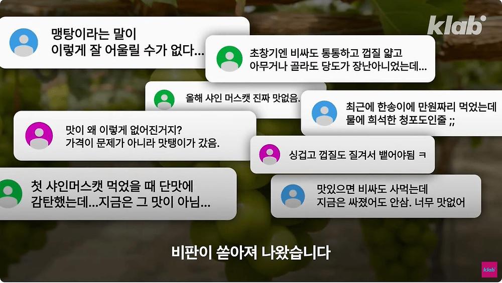 요즘 샤인머스캣 맛이 변한 진짜 이유