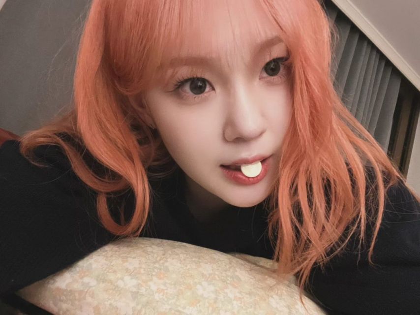 케플러 채현