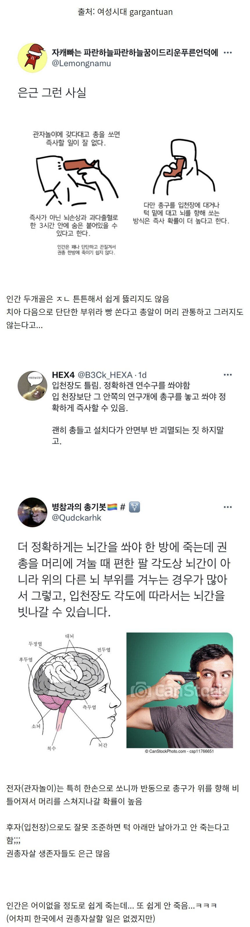 관자놀이에 총을 쏘면 즉사하는 경우가 잘 없다.twt