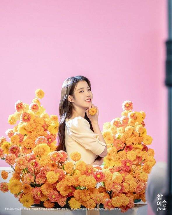 아이유 참이슬