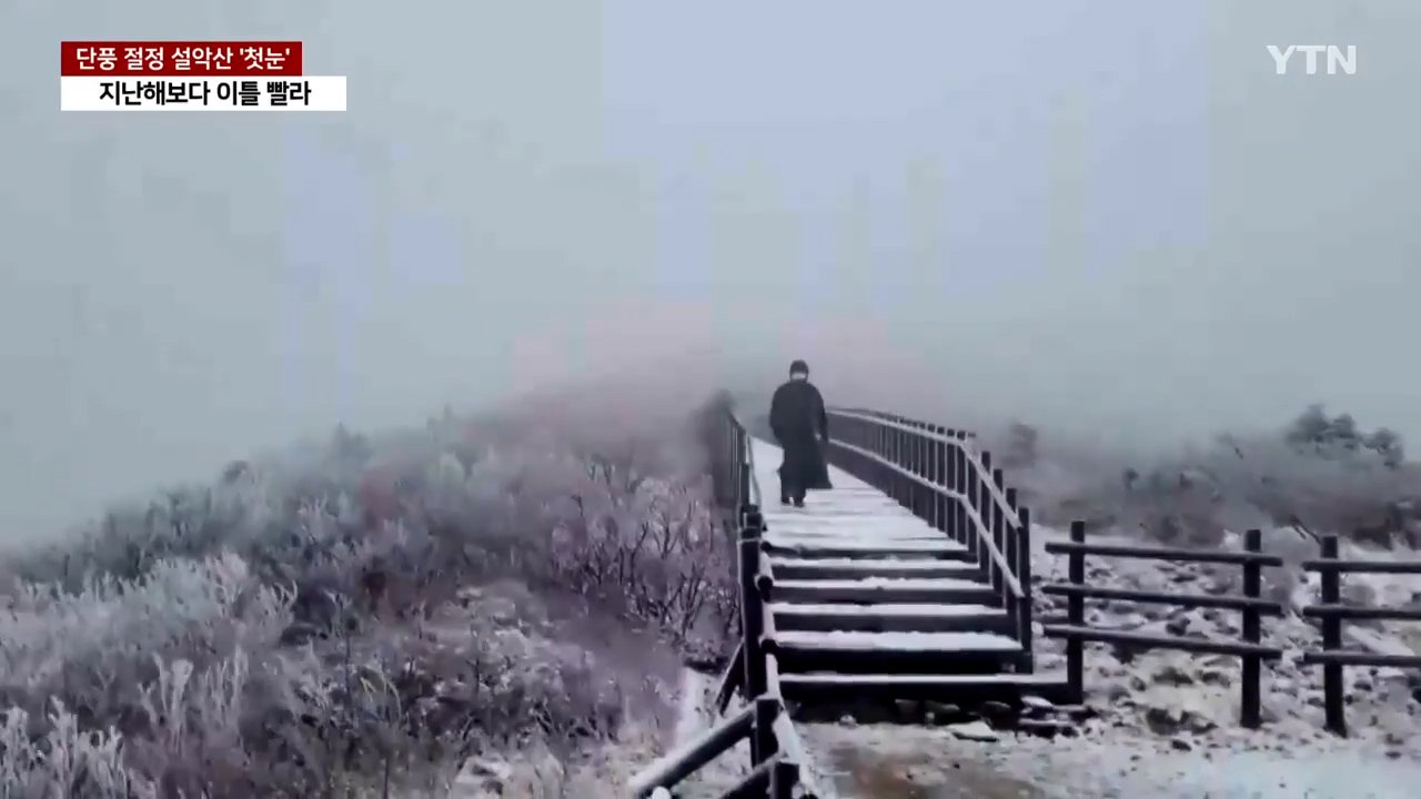 역대급 충격적인 한국의 현재 최저기온