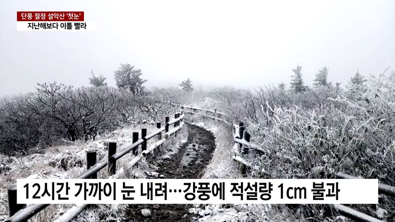 역대급 충격적인 한국의 현재 최저기온
