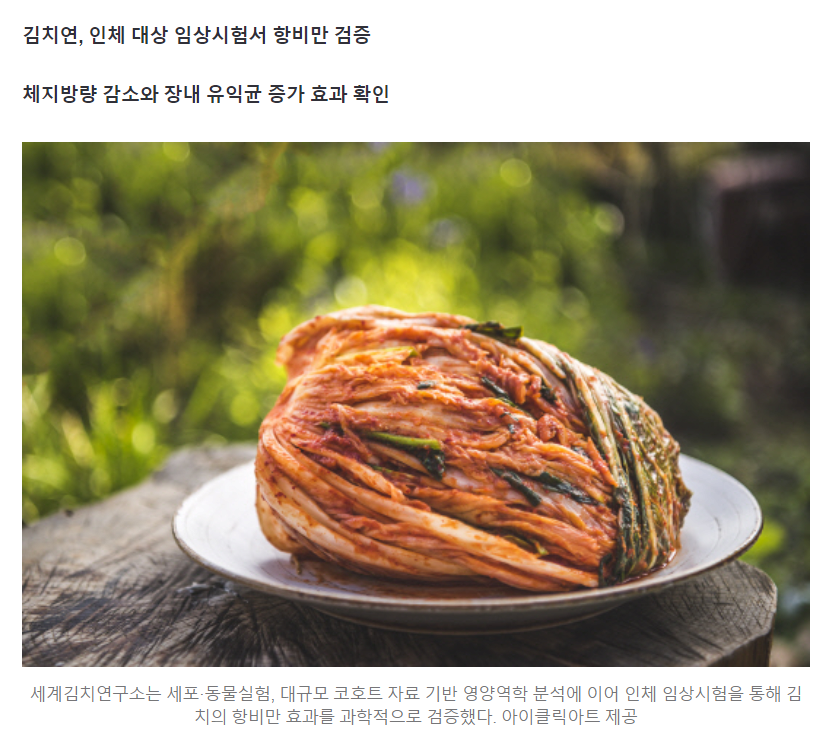 "위고비 못지 않네"...K위고비 근황
