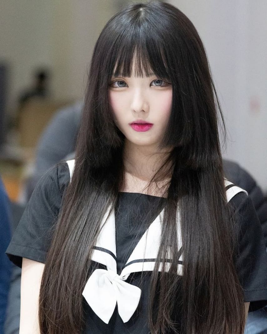 나무늘봉순