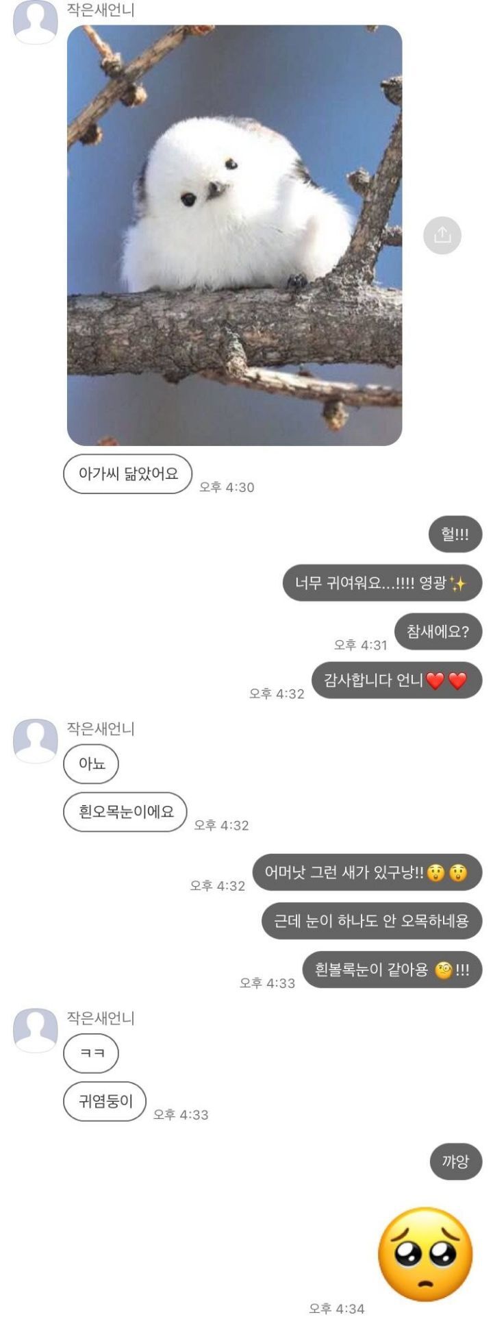 평소엔 지적인 새언니가 아가씨에게 보내는 카톡 ㄷㄷ