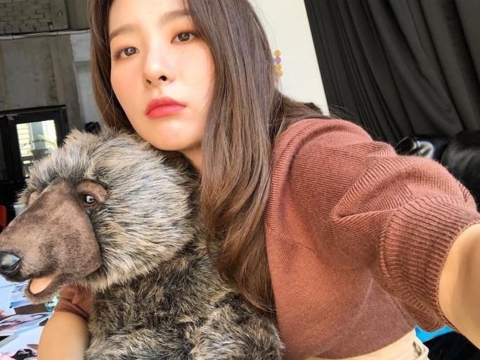 레드벨벳 슬기