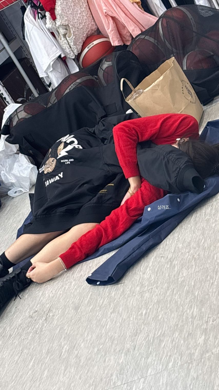 안지현