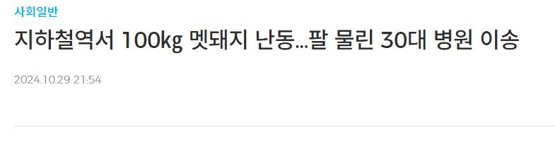 지하철역서 100kg 멧돼지 난동 팔 물린 30대 병원 이송
