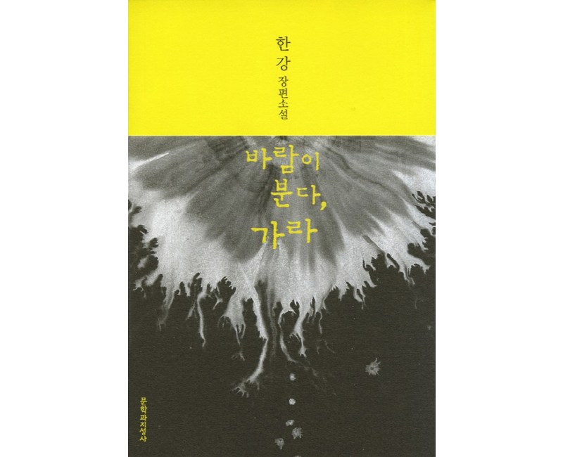 바람이 분다 가라, 문학과지성사, 글: 한강