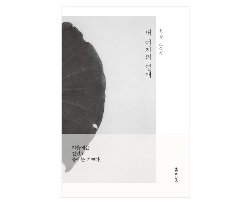내 여자의 열매:한강 소설집, 문학과지성사, 한강 저