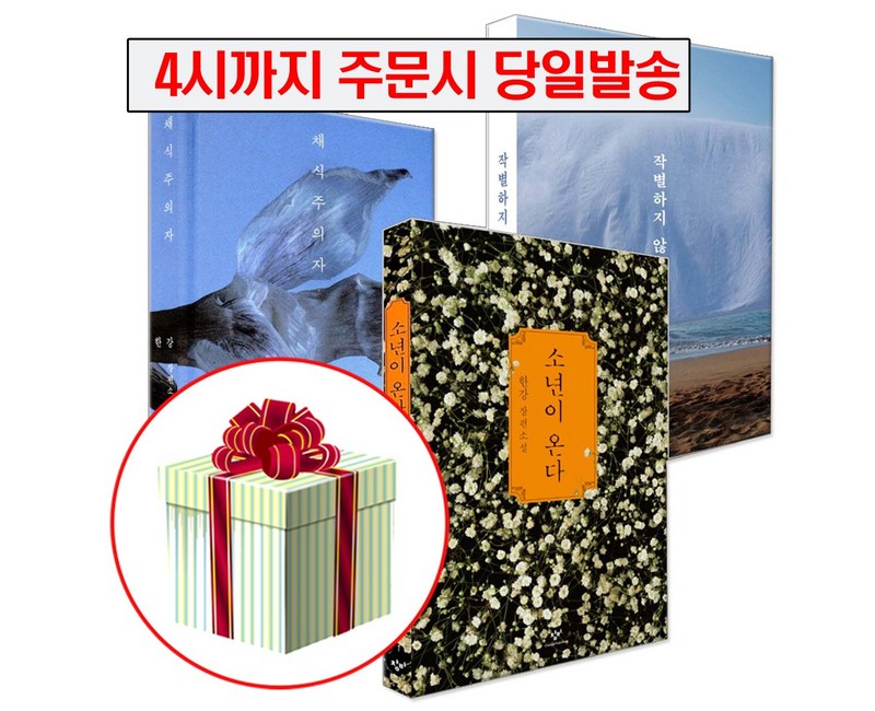 소년이 온다+채식주의자+작별하지 않는다 한강 책 세트 2024 노벨문학상 수상작가 /퀸스북 사은품 증정, 창비