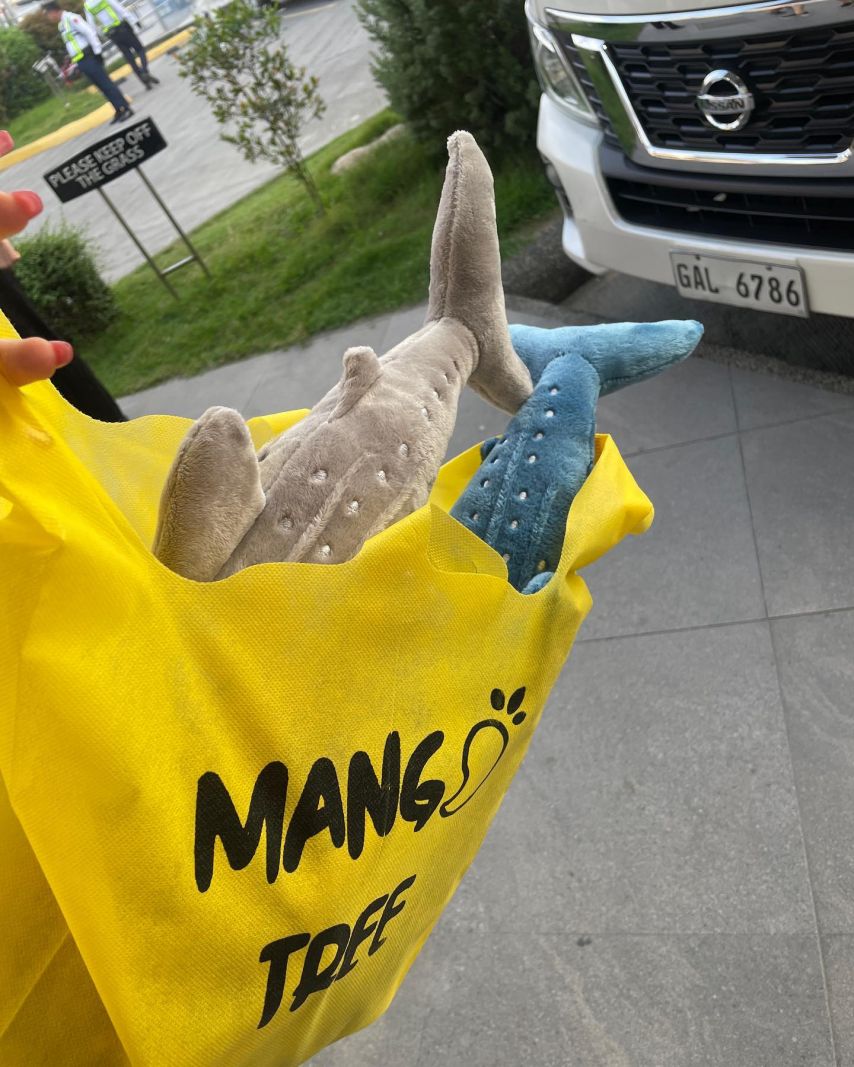 최홍라 인스타