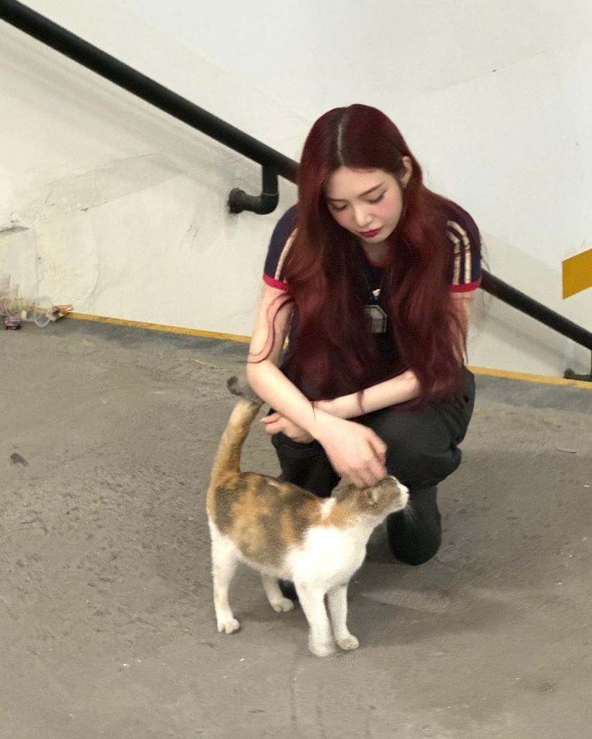 레드벨벳 조이