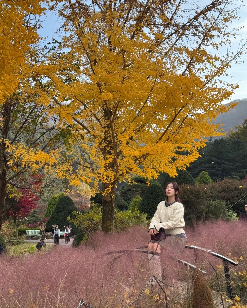 정소연 인스타