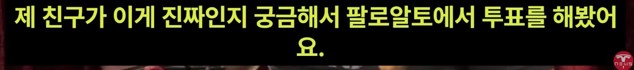어제 일론머스크가 트럼프 투표해야한다고 말한 이유.