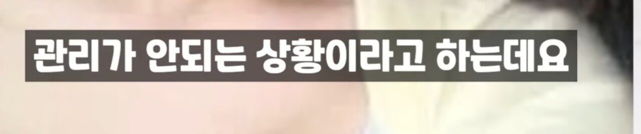 '나솔' 23기 정숙, '벗방·불법 에어비앤비 논란' 폭로도 나왔다...'절도' 이어 또 논란