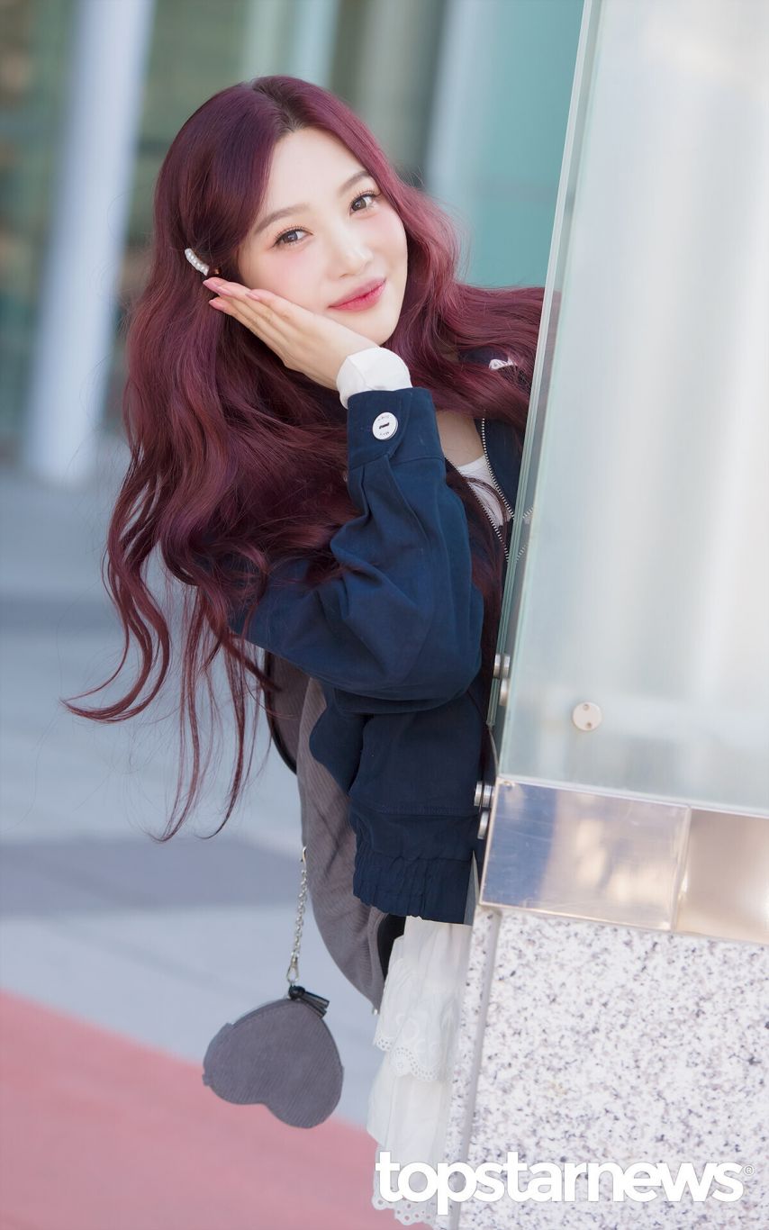 레드벨벳 조이