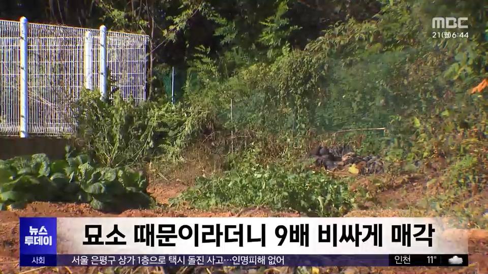 [MBC] 환수한 '친일파 재산' 다시 '친일파 후손'에게