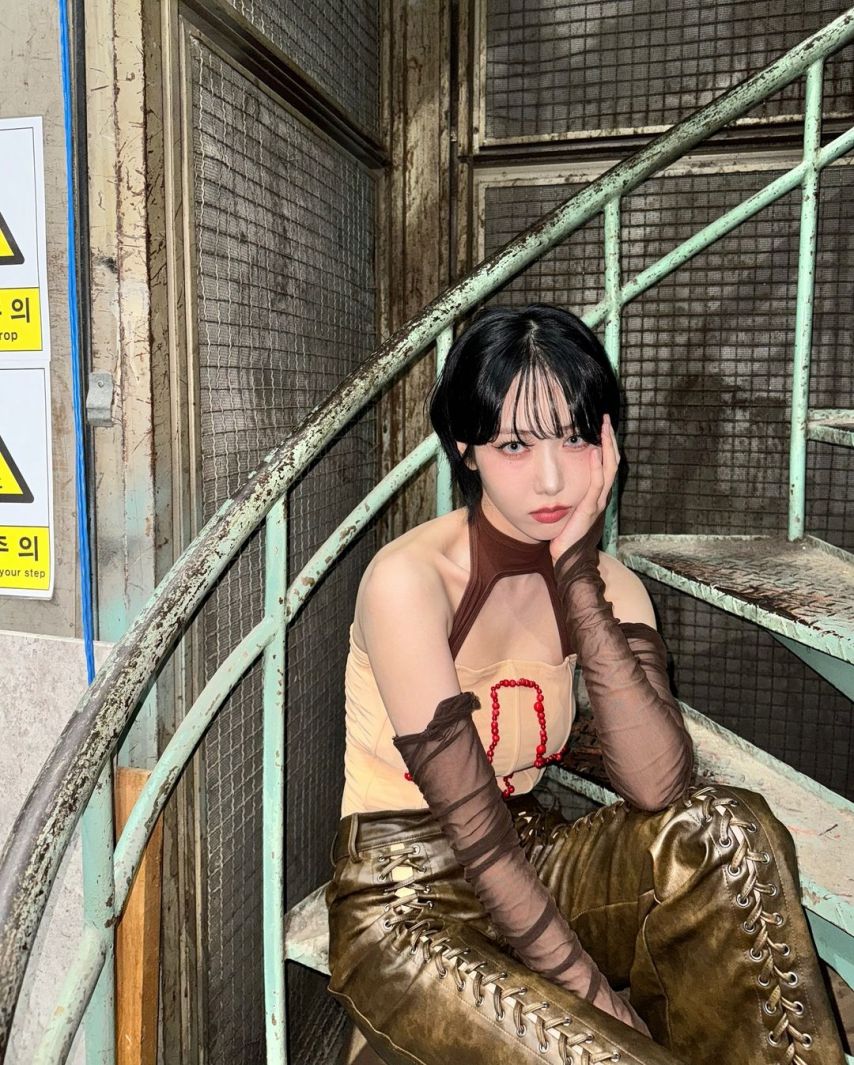 비비지 신비