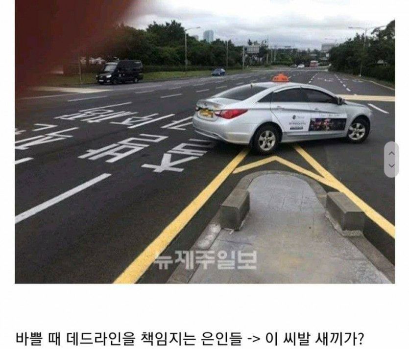 면허를 따고 운전을 하면 다르게 보이는 것들