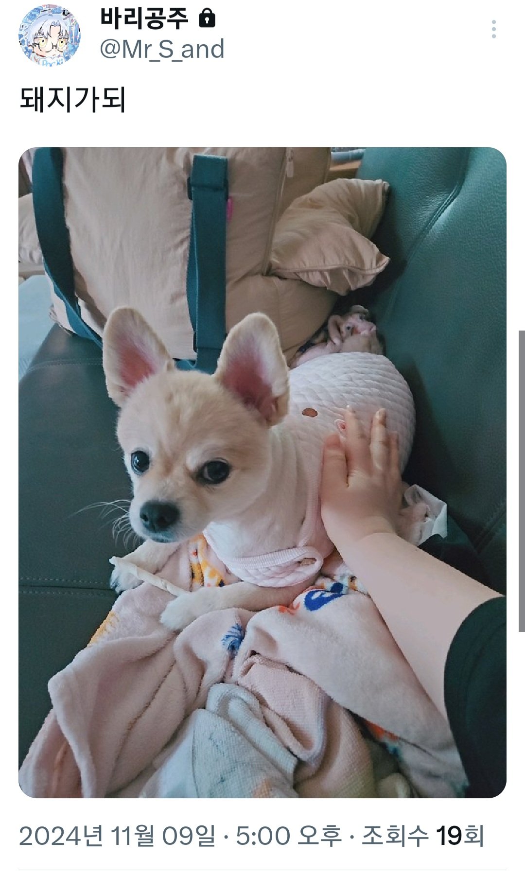 한남들 땀냄새 심하다는 트위터 유저