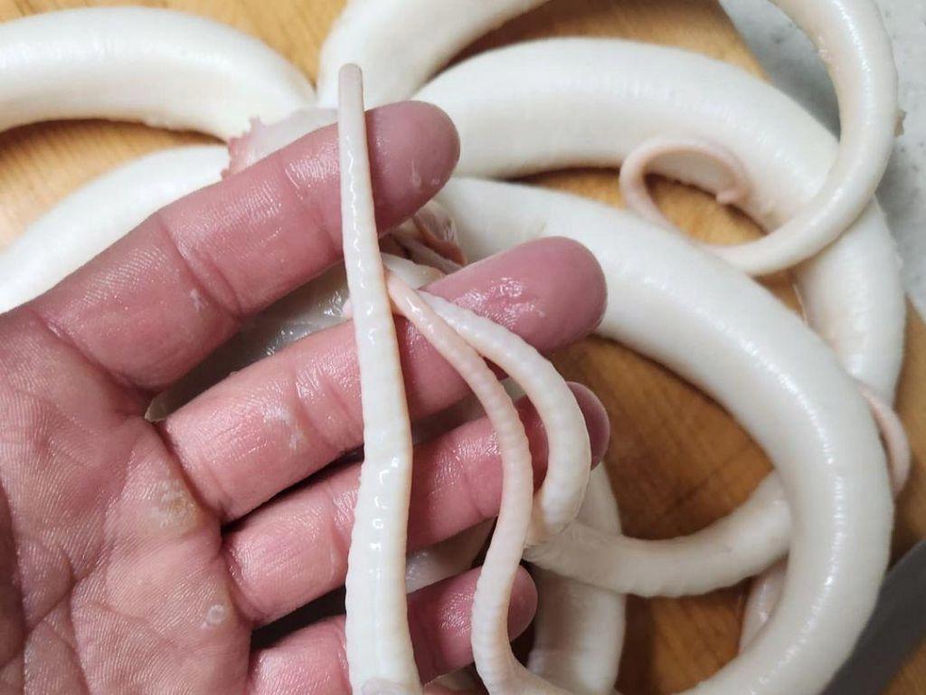 전설의 해산물 세척 3대장 ㄷㄷㄷ