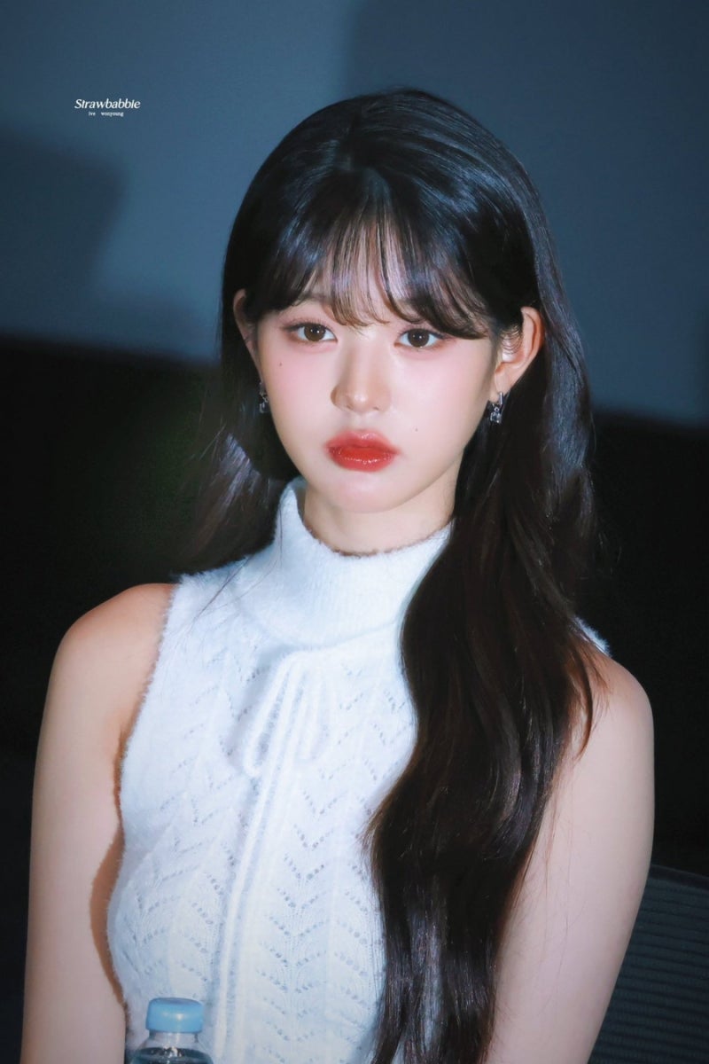 완벽한 셀럽 원영이.jpg
