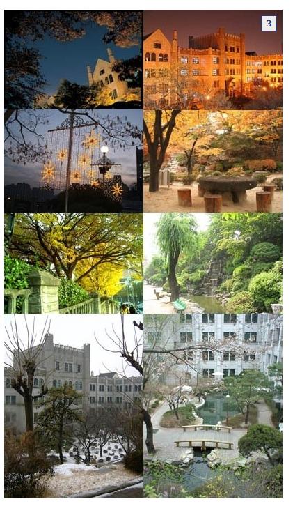먼가 아련한 이쁜 학교를 사랑했던 2008년의 동덕여대 갤러들...