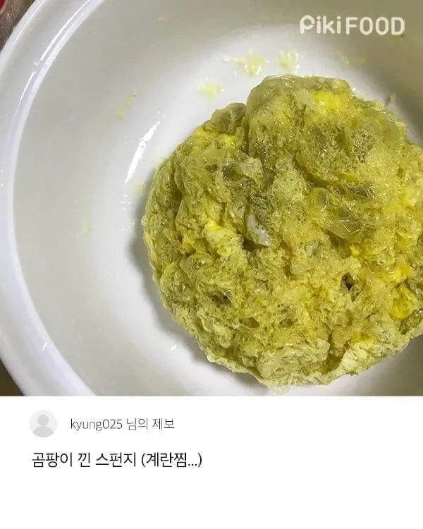 10시간 끓인 백숙 보고가라ㅋㅋㅋㅋ